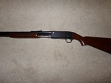 Remington 141 .35 Rem. - 9 of 10