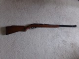 Marlin M 60 .22 LR squirrel - 3 of 10