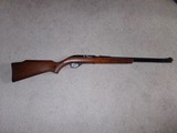 Marlin M 60 .22 LR squirrel - 2 of 10