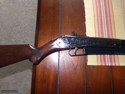 Daisy Slide action BB gun