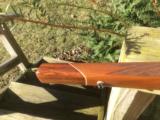 Weatherby 224 or 22-250 STOCK Varminter Rifle - 4 of 12