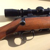 Kimber 82
MANNLICHER STOCK Rifle IN TULSA - 10 of 12