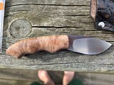 Arno Bernard Raven knife, Burl Maple - 2 of 4