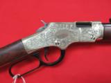 Henry Golden Boy Deluxe Engraved 17HMR 20