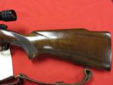 Winchester Model 70 Westerner Pre '64 264 Win./24