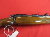 Steyr Zephyr 22LR Full Stock - 1 of 9