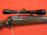 Winchester Model 70 Pre '64 264 Win./26