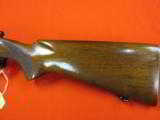 Winchester pre'64 Model 70 300 H&H 26" - 7 of 8