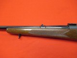 Winchester pre '64 Model 70 243 Winchester 24" - 8 of 9