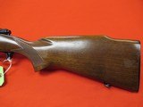 Winchester pre '64 Model 70 243 Winchester 24" - 7 of 9