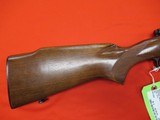 Winchester pre '64 Model 70 243 Winchester 24" - 3 of 9