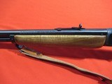 Marlin 1895SS .45-70 Govt/22