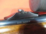 Ruger Model 77RSI 250 Savage 18