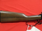 Henry Repeating Arms H001TMRP Small Game Rifle 22 Mag/20.5