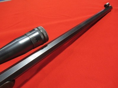 Winchester 1885 Custom 25 Hornet/29