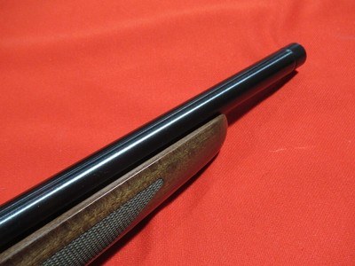 Tikka T1X Hunter 22LR 16