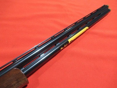Browning CXS 20ga/30
