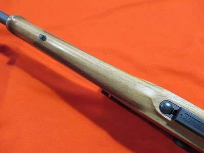 Steyr Zephyr II 17HMR 19.5