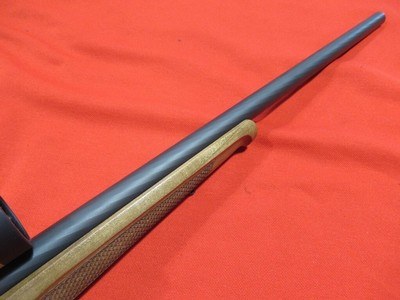 Steyr Zephyr II 17HMR 19.5