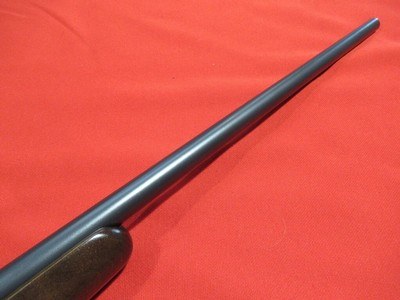 CZ 457 American 22LR/24