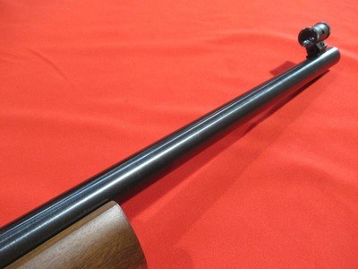 Kimber of Oregon 82G 22LR/25