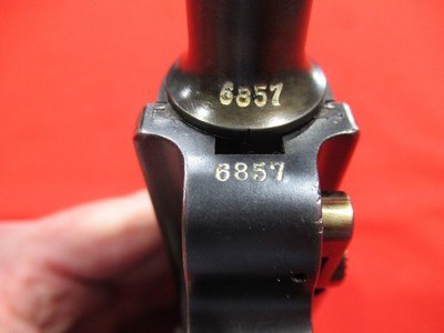 1901 American Eagle Test Luger 30 Luger/4.75
