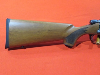 Remington 504 Custom 17 Mach II/23