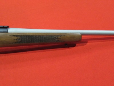 Remington 504 Custom 17 Mach II/23