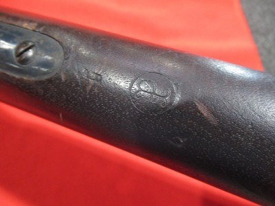 Springfield 1884 Trapdoor 45-70 Govt/31