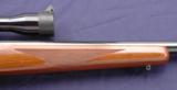 Ruger M77 Varmint, chambered in .22-250 and manufactured in 1981. - 6 of 11