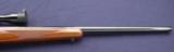 Ruger M77 Varmint, chambered in .22-250 and manufactured in 1981. - 7 of 11
