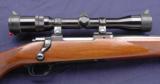 Ruger M77 Varmint, chambered in .22-250 and manufactured in 1981. - 3 of 11