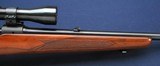 1962 Winchester Model 70 in .243 - 4 of 11