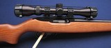 Mint Ruger 10/22 with optic - 2 of 8