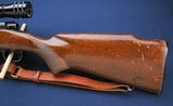 Used Pre-64 Winchester Model 70 in .264 - 9 of 13