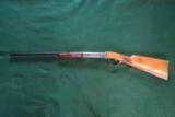 German Original .25 dart rifle - 7 of 7