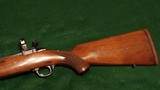 Ruger Model 77 in rare .250 Savage - 7 of 10