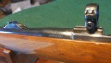 Ruger M77 338 24" barrel with sights - 3 of 10