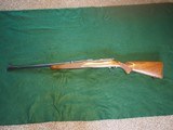 Winchester Model 70 .22 Hornet - 10 of 11