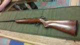 Remington 511 .22 - 1 of 10