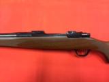 Ruger M77 Mark II 300 Win Mag - 6 of 13