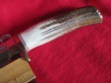 Randall 8 inch stag handled custom minty with Sheath - 4 of 5