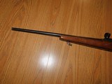 Rare Savage model 110 WLE in Cal 250-3000. only 1000 made. - 9 of 20