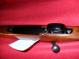 Pre-64 Model 70 Featherweight - 6 of 15