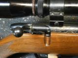 Remington 541-S w/Leupold 3X9 AO - 15 of 15