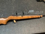 Ruger 10/22 Magnum - 1 of 17