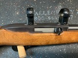 Ruger 10/22 Magnum - 4 of 17