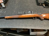 Ruger Model 77 22-250 HB Tang - 17 of 17