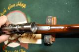 Winchester Model 1905 - 10 of 12