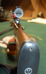 Ruger - Model 77 - 22 Hornet - 5 of 6